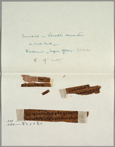 Zwei Fragmente von Rinde mit Sanskrit von Unknown artist
