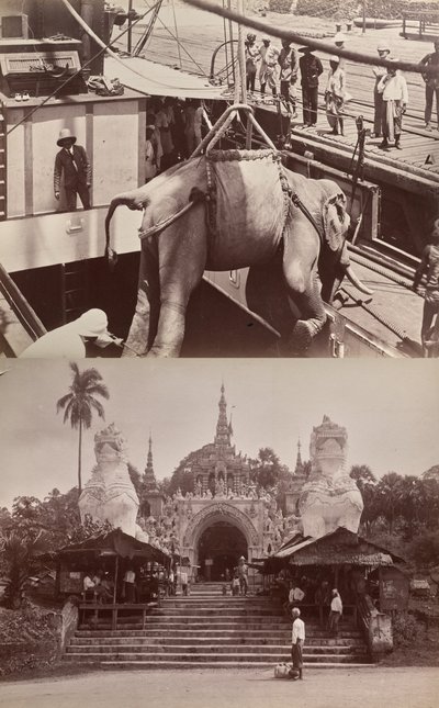 Ohne Titel: (Elefant wird auf ein Schiff verladen, recto); (Stufen und Gebäude, verso) von Unknown artist