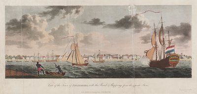 Ansicht der Stadt Paramaribo, mit der Straße und den Schiffen vom gegenüberliegenden Ufer von Unknown artist