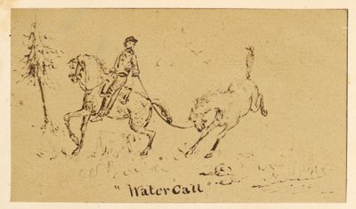 Wasserruf von Unknown artist