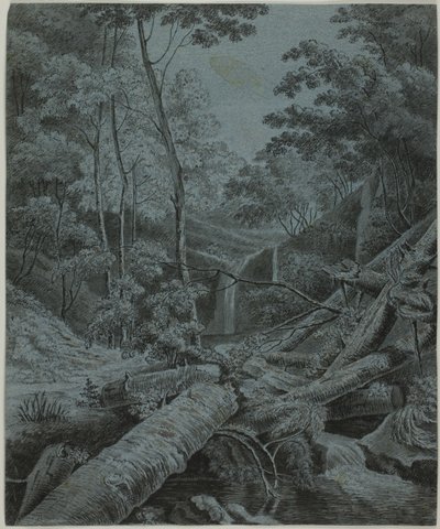 Wasserfall und gefallene Baumstämme im Wald von Unknown artist