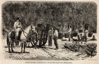 Wenn der Kaffee geerntet wird, sammeln und transportieren die Männer die schweren Körbe voller Kaffeebohnen, während die Kinder das Fruchtfleisch reinigen, das die Kaffeebohnen umgibt. Gravur zur Illustration der Reise nach Brasilien, Bericht von M. und Mm von Unknown artist