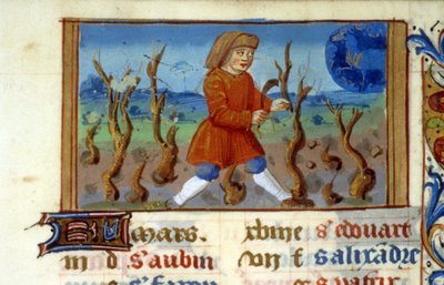 Zodiac Widder und Baumschnitt - Miniatur des Mittelalters (ref. 137, 047r) - Genehmigung der Stadtbibliothek Toulouse erforderlich (tel: 05 62 27 66 66) von Unknown artist