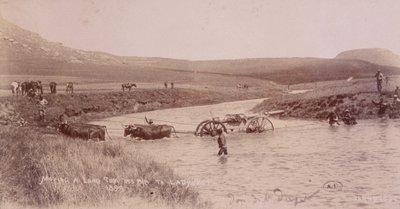 Kanon überquert einen Fluss während des Burenkriegs von Unknown photographer