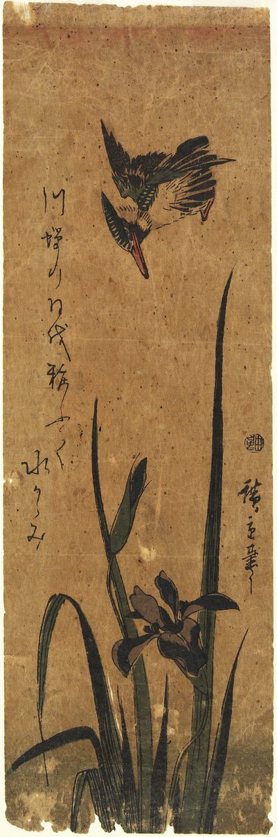 (Iris und Eisvogel), 1830-1858 von Utagawa Hiroshige