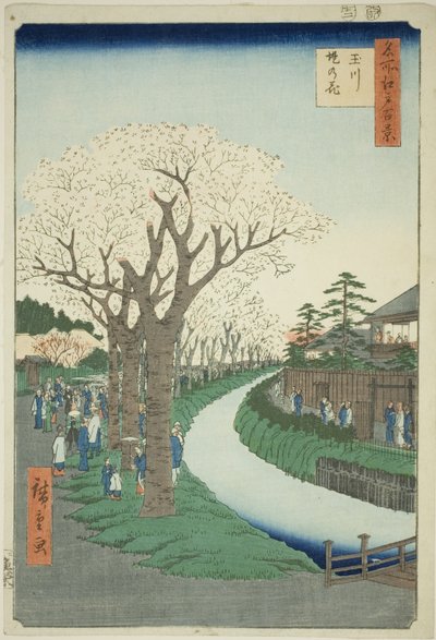 Blüten am Damm des Tama-Flusses (Tamagawa-zutsumi no hana), aus der Serie Einhundert berühmte Ansichten von Edo (Meisho Edo hyakkei) von Utagawa Hiroshige