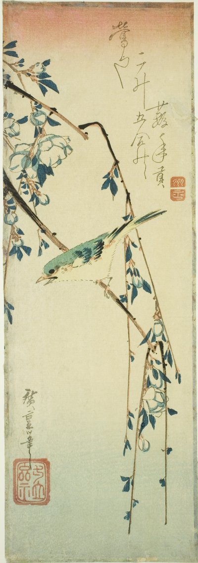 Buschsänger auf einem Pflaumenzweig von Utagawa Hiroshige