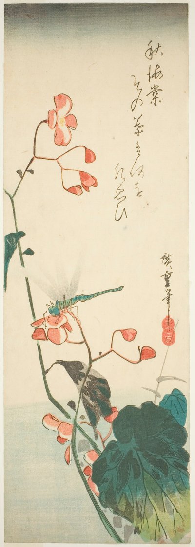 Libelle und Begonie von Utagawa Hiroshige