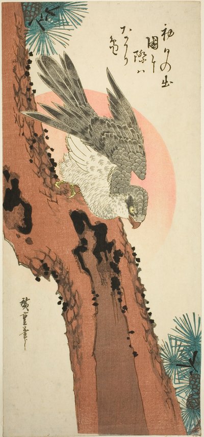 Falke auf einem Kiefernbaum mit aufgehender Sonne von Utagawa Hiroshige