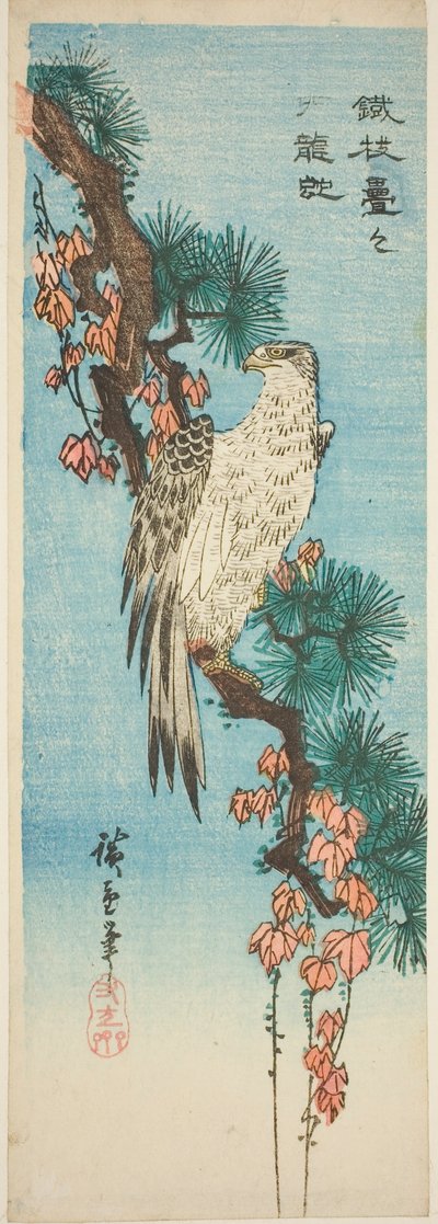 Falke auf efeubedecktem Kiefernzweig von Utagawa Hiroshige
