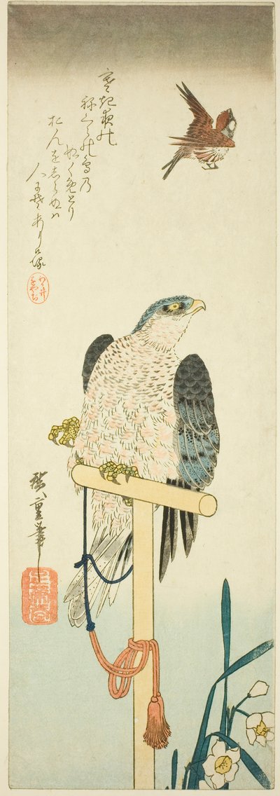 Falke, Spatz und Narzisse von Utagawa Hiroshige