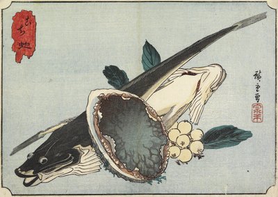 Flathead und Abalone, frühes 19. Jahrhundert von Utagawa Hiroshige