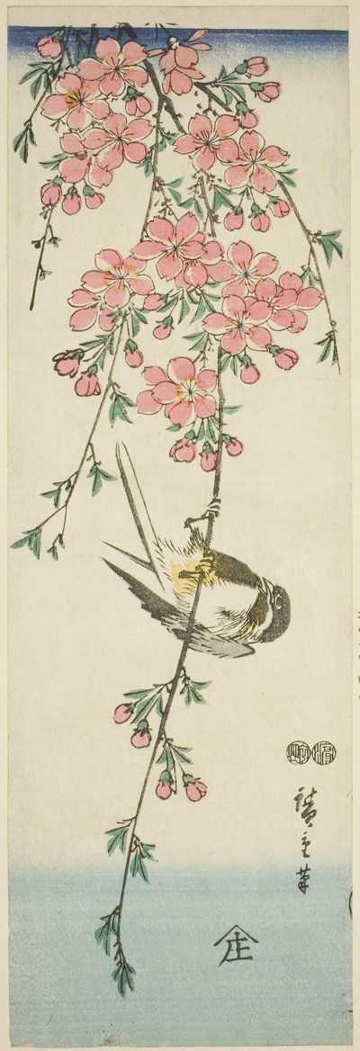 Kohlmeise und Kirschblüten von Utagawa Hiroshige