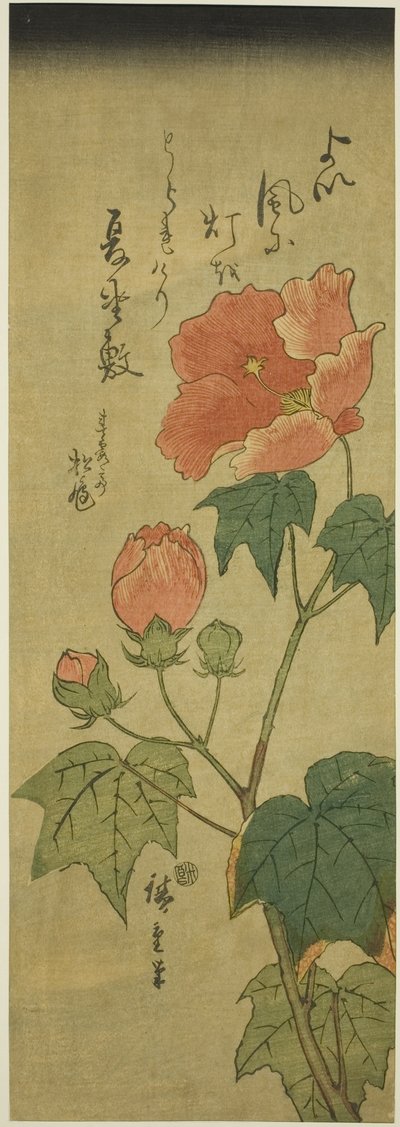Hibiskus von Utagawa Hiroshige