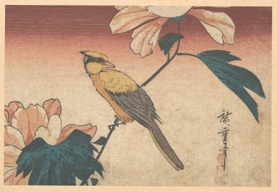 Hibiscus Mutabilis und Jay von Utagawa Hiroshige