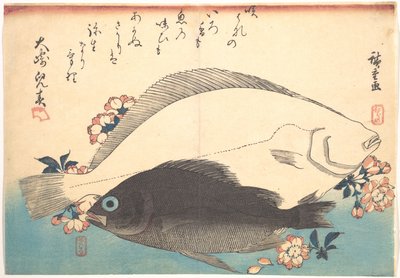 Hirame- und Mebaru-Fische mit Kirschblüten, aus der Serie Uozukushi (Jede Art von Fisch) von Utagawa Hiroshige