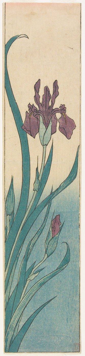 Iris von Utagawa Hiroshige