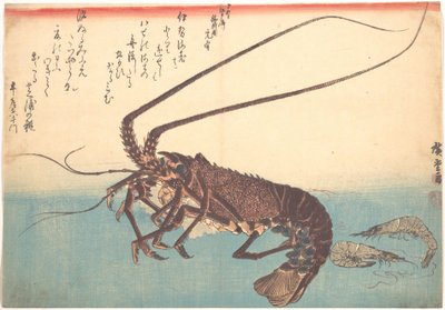 Ise-ebi und Shiba-ebi, aus der Serie Uozukushi (Jede Art von Fisch) von Utagawa Hiroshige