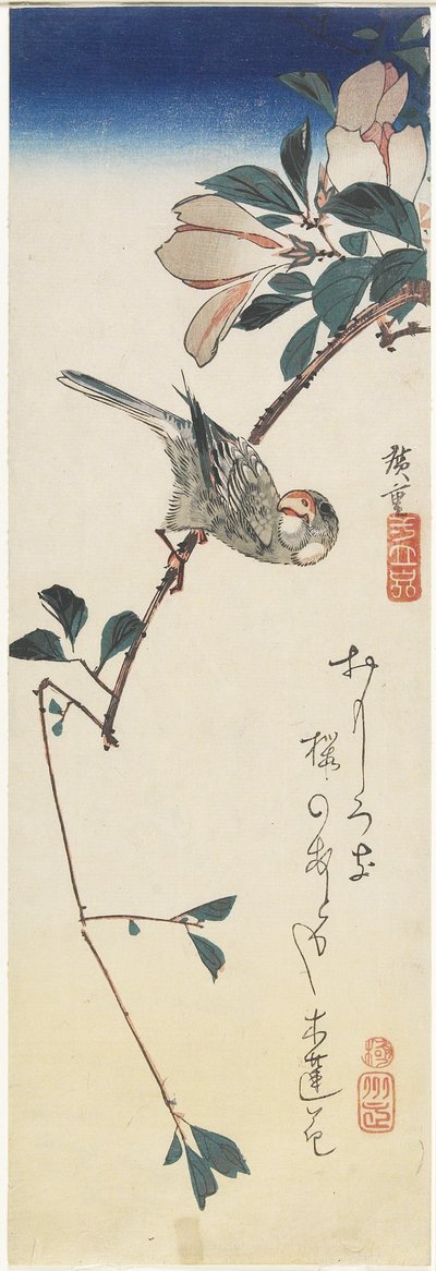 Java-Spatz und Magnolie, 1834-1839 von Utagawa Hiroshige
