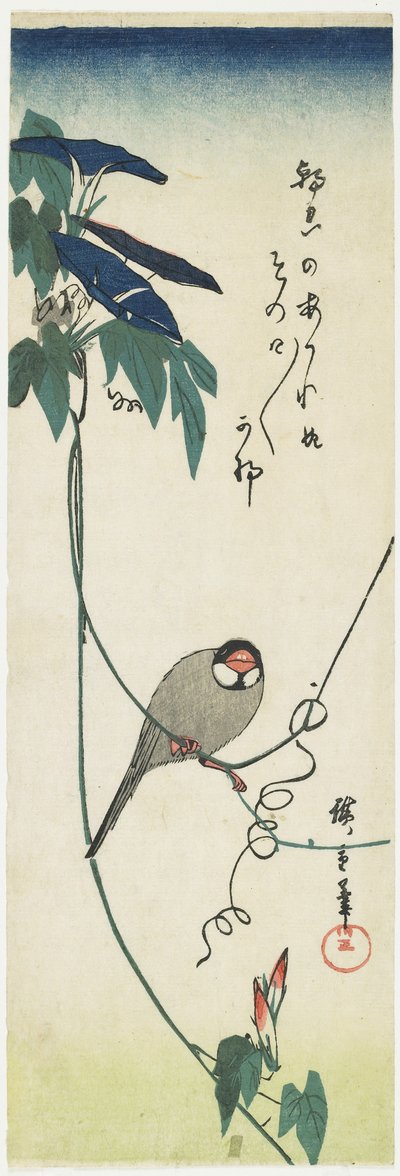 Java-Sperling und Prunkwinden, 1834-1839 von Utagawa Hiroshige