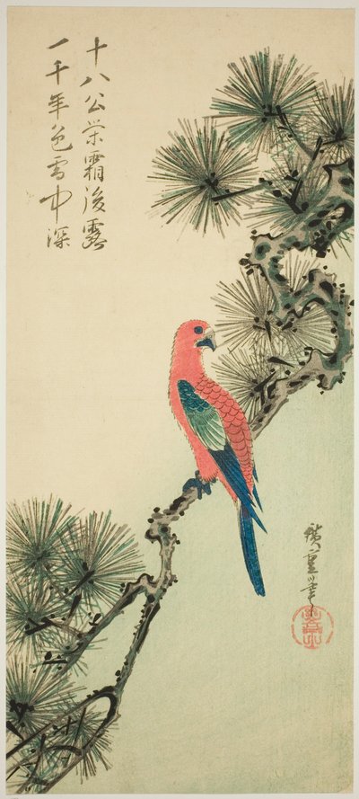 Ara auf einem Kiefernzweig von Utagawa Hiroshige