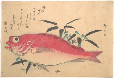 Medetai-Fisch und Sasaki-Bambus, aus der Serie Uozukushi (Jede Art von Fisch) von Utagawa Hiroshige