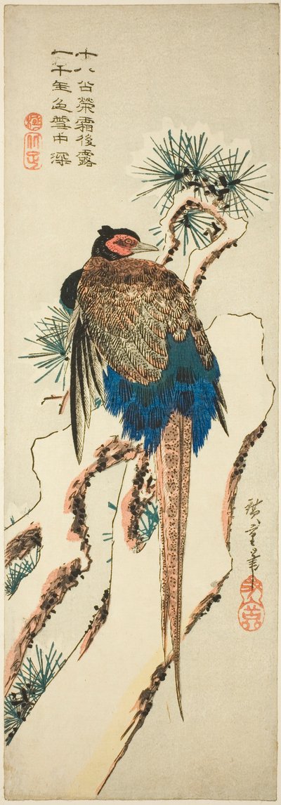 Fasan auf einem schneebedeckten Kiefernbaum von Utagawa Hiroshige