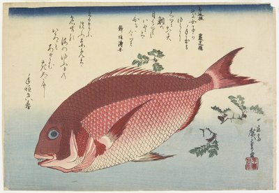 Meerbrasse und Sansho-Zweige, ca. 1832 von Utagawa Hiroshige