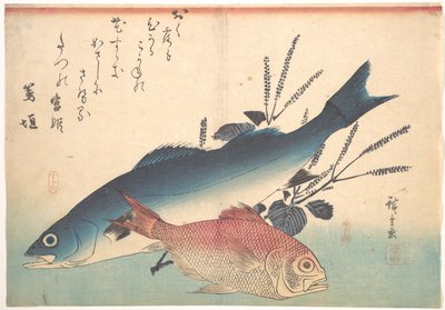 Suzuki- und Kinmedai-Fische aus der Serie Uozukushi (Jede Art von Fisch) von Utagawa Hiroshige