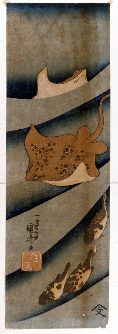 Drucke von Utagawa KUNIYOSHI (1797-1861), die den Fisch darstellen von Utagawa Kuniyoshi