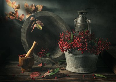 Herbstliches Ernte-Stillleben von Vadim Kulinsky