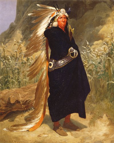 Porträt eines Indianerhäuptlings, 1875 von Valentine Walter Lewis Bromley