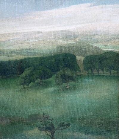 Berge in Cardiganshire von Valerius de Saedeleer