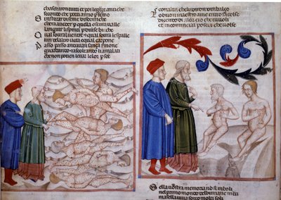 Dante und Virgil im Gespräch mit Grifolino von Arezzo und Capocchio von Siena, 14. Jahrhundert von Venetian School