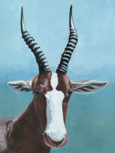 Afrikanischer Blesbok-Blick von Viccy Wanliss