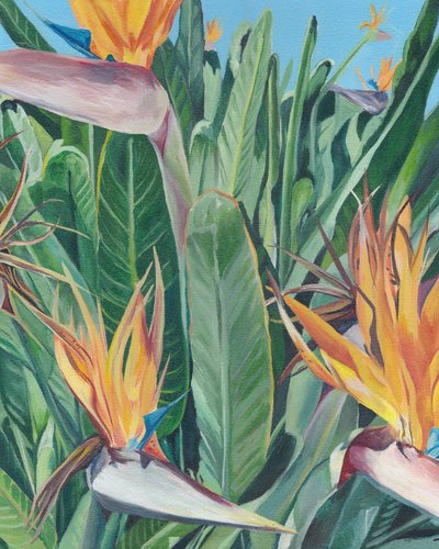 Paradiesvogelblüten von Viccy Wanliss