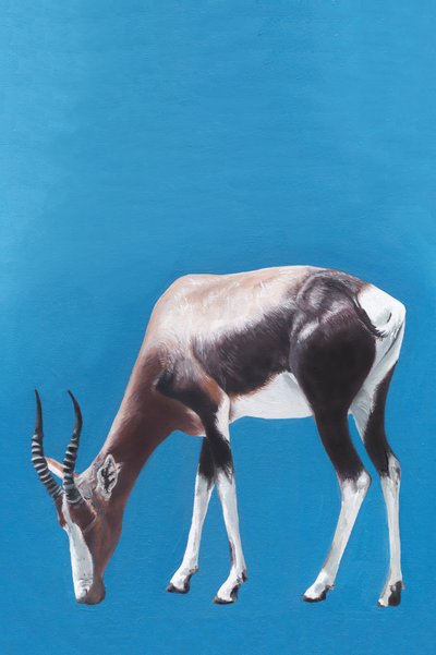 Blesbok beim Weiden Blau von Viccy Wanliss