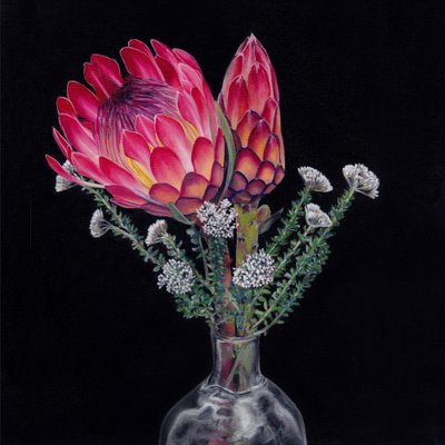 König-Protea-Strauß von Viccy Wanliss