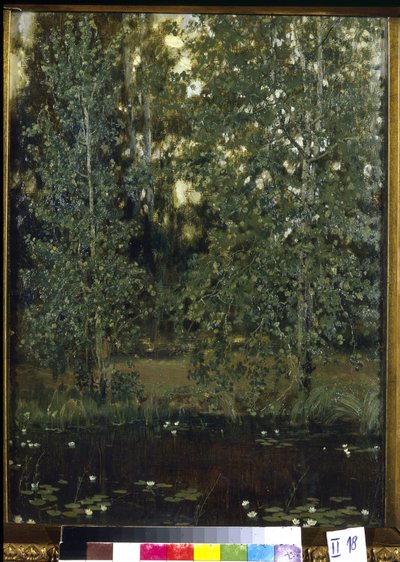 Teich in Akhtyrka (oder Okhtyrka, Ukraine) von Victor Mikhailovich Vasnetsov