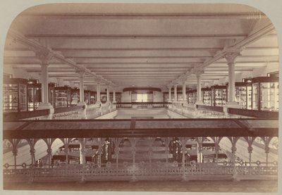 Pl. IV. Galeriegeschichte: Ethnologie und Archäologie von Victor Prevost, Gaston L. Feuardent and Co., New York