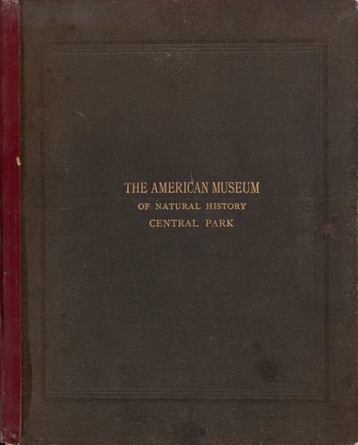 Das fotografische Album des American Museum of Natural History, Central Park, New York City von Victor Prevost, Gaston L. Feuardent and Co., New York