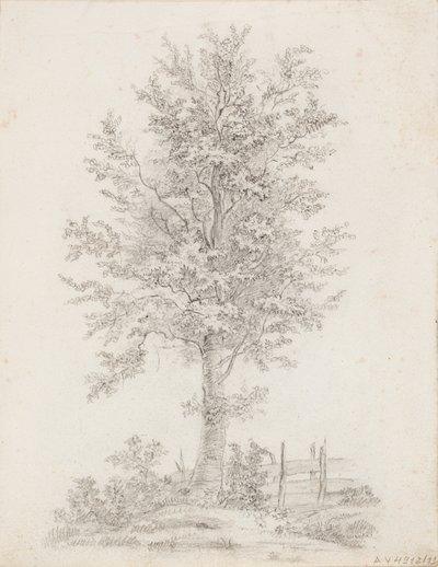 Breitblättriger Baum von Victoria Åberg
