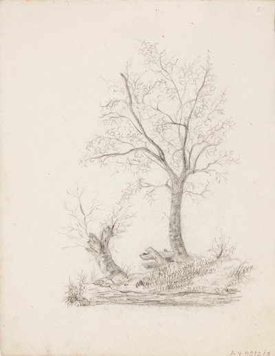 Bäume von Victoria Åberg