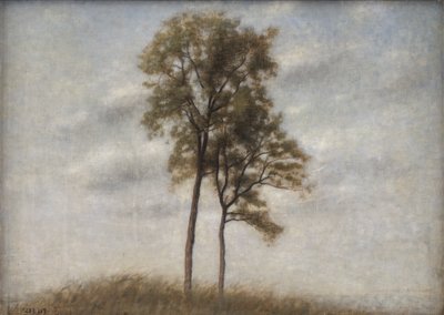 Unge ege von Vilhelm Hammershøi