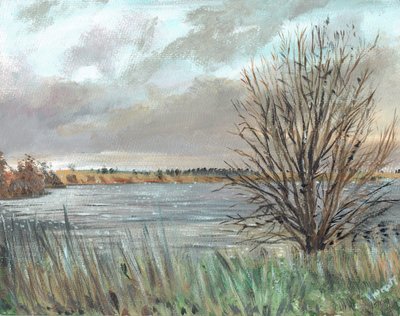 Fannyside Loch von Vincent Alexander Booth