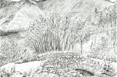 Alte Steinbrücke im Lake District von Vincent Alexander Booth