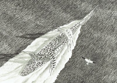 Sturmerschaffer Cape Canaveral, 2022 von Vincent Alexander Booth