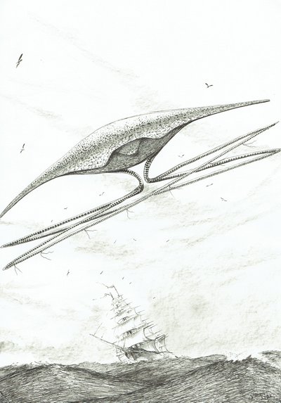 Sturmerschaffer Foxe Basin, 2022 von Vincent Alexander Booth