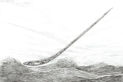 Sturmerschaffer Lake Mweru von Vincent Alexander Booth