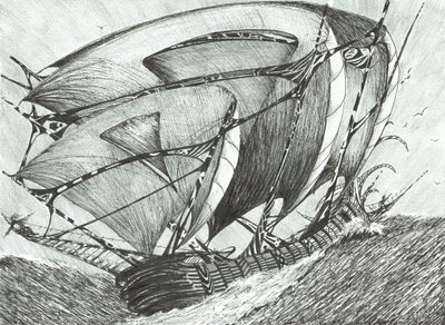 Sturmerschaffer Asowsches Meer, 2017 von Vincent Alexander Booth